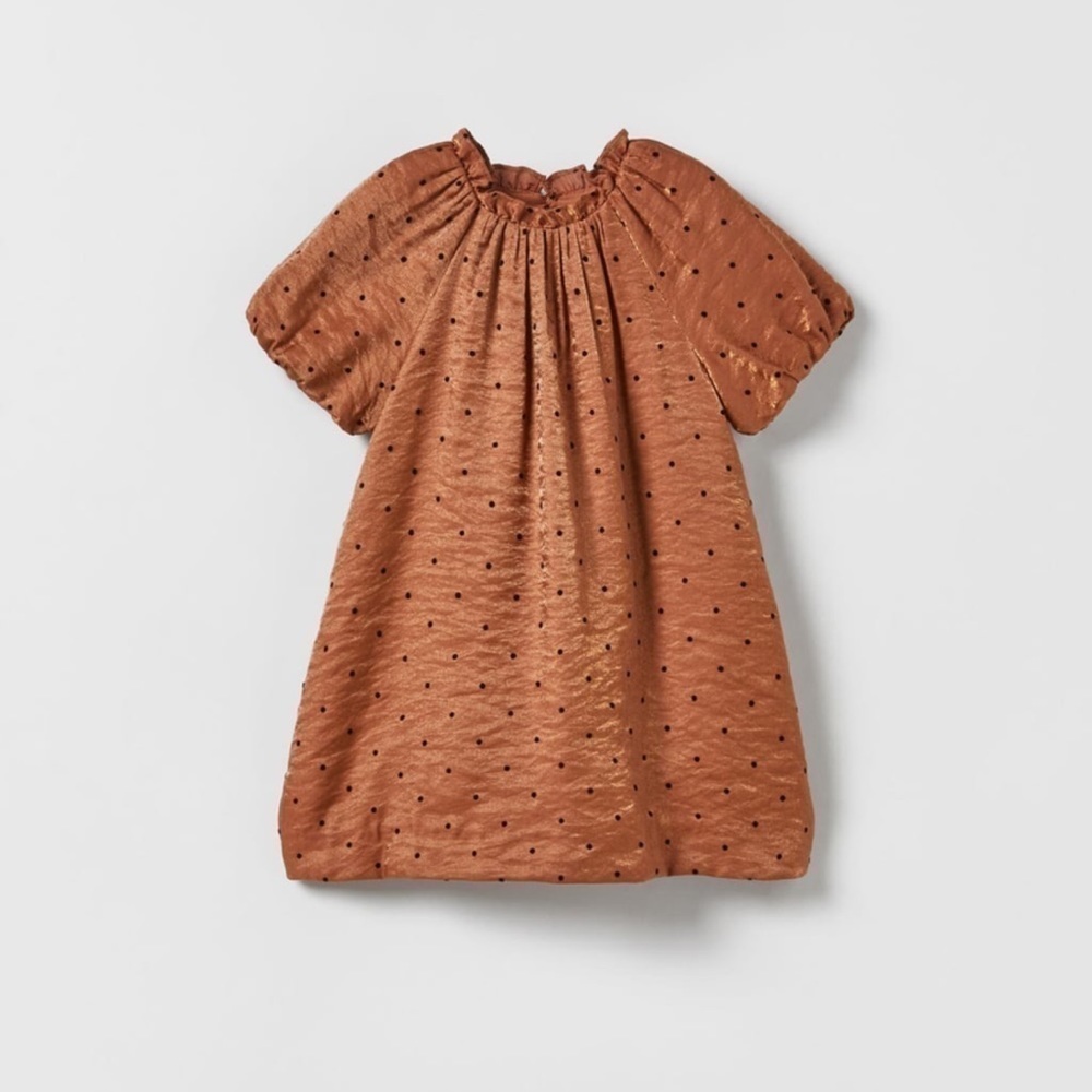Zara Flocked Polka Dot Dress